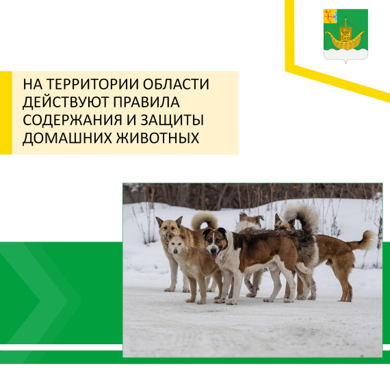 На территории Кировской области действуют Правила содержания и защиты домашних животных.